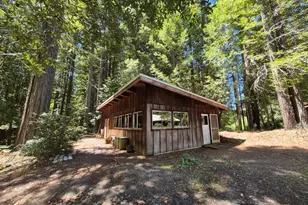 11903 Branscomb Rd, Branscomb, CA 95417 - Photo 29