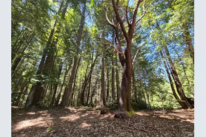 11903 Branscomb Road, Branscomb, CA 95417 - Photo 67