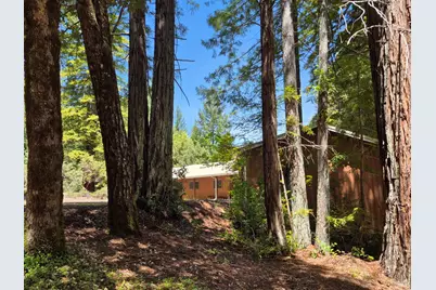 11903 Branscomb Road, Branscomb, CA 95417 - Photo 39