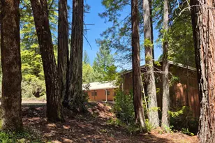 11903 Branscomb Rd, Branscomb, CA 95417 - Photo 39