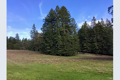 31010 Stewarts Point-Skaggs Springs Road, Stewarts Point, CA 95497 - Photo 61