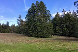 31010 Stewarts Point-Skaggs Springs Rd, Stewarts Point, CA 95497 - Photo 61