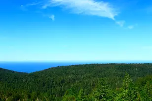 31010 Stewarts Point-Skaggs Springs Rd, Stewarts Point, CA 95497 - Photo 23