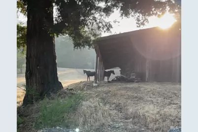 31010 Stewarts Point-Skaggs Springs Road, Stewarts Point, CA 95497 - Photo 25