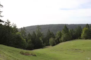 31010 Stewarts Point-Skaggs Springs Rd, Stewarts Point, CA 95497 - Photo 19