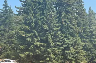 31010 Stewarts Point-Skaggs Springs Rd, Stewarts Point, CA 95497 - Photo 71