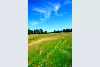 31010 Stewarts Point-Skaggs Springs Road, Stewarts Point, CA 95497 - Photo 35