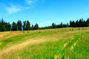 31010 Stewarts Point-Skaggs Springs Rd, Stewarts Point, CA 95497 - Photo 35