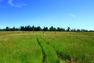 31010 Stewarts Point-Skaggs Springs Road, Stewarts Point, CA 95497 - Photo 7