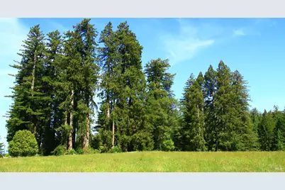 31010 Stewarts Point-Skaggs Springs Road, Stewarts Point, CA 95497 - Photo 11