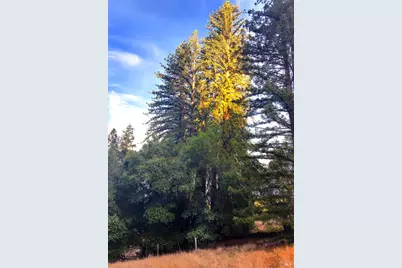 31010 Stewarts Point-Skaggs Springs Road, Stewarts Point, CA 95497 - Photo 55