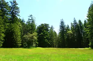 31010 Stewarts Point-Skaggs Springs Rd, Stewarts Point, CA 95497 - Photo 13