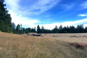 31010 Stewarts Point-Skaggs Springs Rd, Stewarts Point, CA 95497 - Photo 53