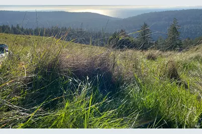 31010 Stewarts Point-Skaggs Springs Road, Stewarts Point, CA 95497 - Photo 63