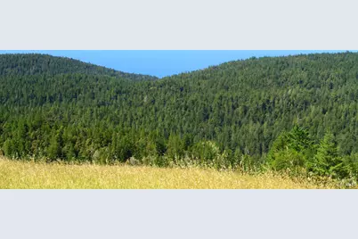 31010 Stewarts Point-Skaggs Springs Road, Stewarts Point, CA 95497 - Photo 9