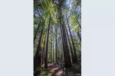 31010 Stewarts Point-Skaggs Springs Road, Stewarts Point, CA 95497 - Photo 15