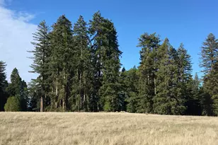 31010 Stewarts Point-Skaggs Springs Rd, Stewarts Point, CA 95497 - Photo 59