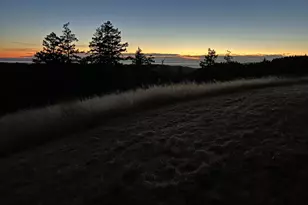 31010 Stewarts Point-Skaggs Springs Rd, Stewarts Point, CA 95497 - Photo 21