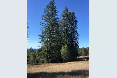 31010 Stewarts Point-Skaggs Springs Road, Stewarts Point, CA 95497 - Photo 47