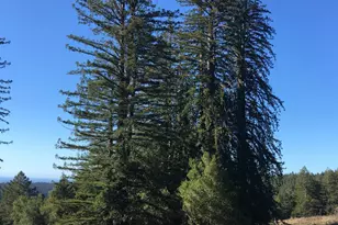 31010 Stewarts Point-Skaggs Springs Rd, Stewarts Point, CA 95497 - Photo 47