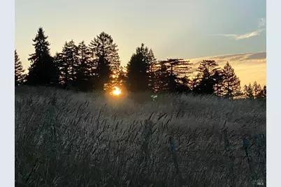 31010 Stewarts Point-Skaggs Springs Road, Stewarts Point, CA 95497 - Photo 65