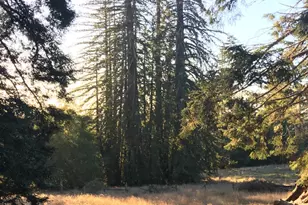 31010 Stewarts Point-Skaggs Springs Rd, Stewarts Point, CA 95497 - Photo 51