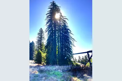 31010 Stewarts Point-Skaggs Springs Road, Stewarts Point, CA 95497 - Photo 45