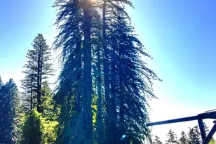 31010 Stewarts Point-Skaggs Springs Rd, Stewarts Point, CA 95497 - Photo 45