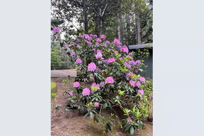 45270 Ocean View Lane, Gualala, CA 95445 - Photo 35