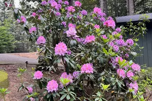 45270 Ocean View Ln, Gualala, CA 95445 - Photo 35