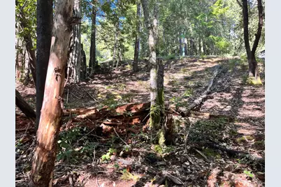 25143 Blue Jay Place, Willits, CA 95490 - Photo 7