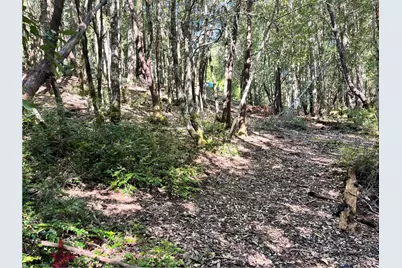 25143 Blue Jay Place, Willits, CA 95490 - Photo 1