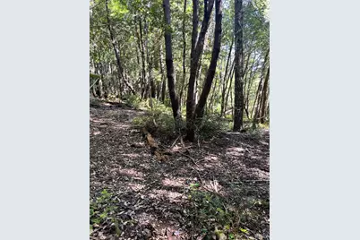 25143 Blue Jay Place, Willits, CA 95490 - Photo 5