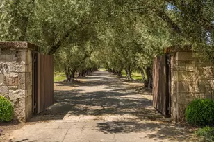 900 Rutherford Rd, Rutherford, CA 94573 - Photo 5