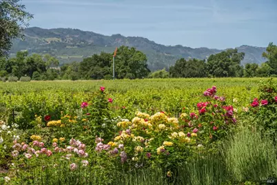 900 Rutherford Road, Rutherford, CA 94573 - Photo 19