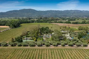 900 Rutherford Rd, Rutherford, CA 94573 - Photo 69