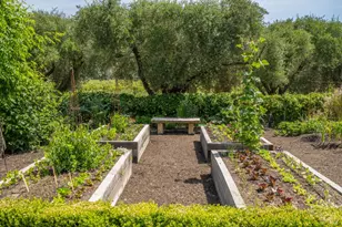 900 Rutherford Rd, Rutherford, CA 94573 - Photo 49