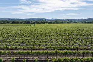 374 Kinley Dr, Healdsburg, CA 95448 - Photo 1