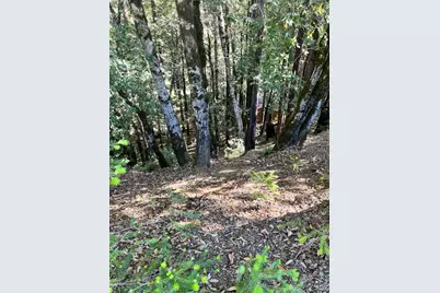 2185 Primrose Drive, Willits, CA 95490 - Photo 3