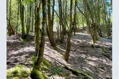 24121 Lilac Road, Willits, CA 95490 - Photo 3