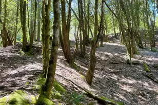 24121 Lilac Rd, Willits, CA 95490 - Photo 1