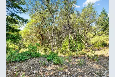0 Moore Homestead Road, Philo, CA 95466 - Photo 7