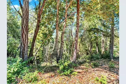 0 Moore Homestead Road, Philo, CA 95466 - Photo 5