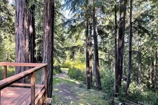 35905 Hauser Bridge Rd, Cazadero, CA 95421 - Photo 9