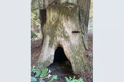 35905 Hauser Bridge Road #J, Cazadero, CA 95421 - Photo 31