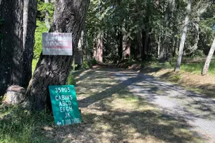 35905 Hauser Bridge Rd, Cazadero, CA 95421 - Photo 29