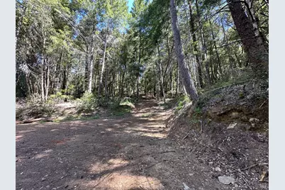 0 Little Dan Creek Road, Leggett, CA 95585 - Photo 13