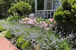 406 Franklin St, Napa, CA 94559 - Photo 69