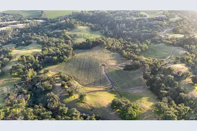 21350 River Road, Geyserville, CA 95441 - Photo 7