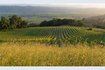 21350 River Road, Geyserville, CA 95441 - Photo 1